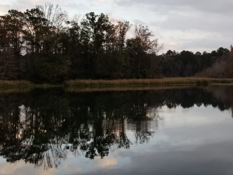 Let the Writer’s Retreat Begin