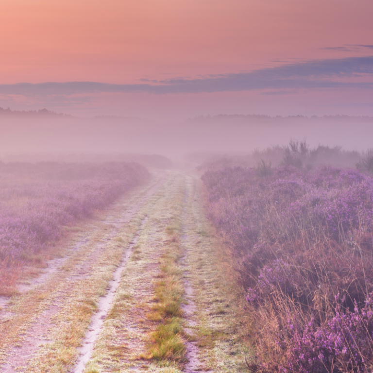 How to Journal and Improve Your Sexuality—the Purple Way